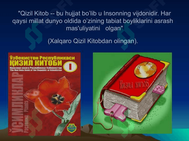Qizil kitob va uning ahamiyati 2