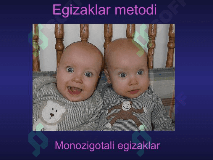Inson genetikasi.ODAM GENETIKASI VASIFASI 7