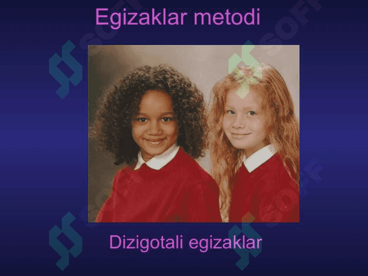 Inson genetikasi.ODAM GENETIKASI VASIFASI 8