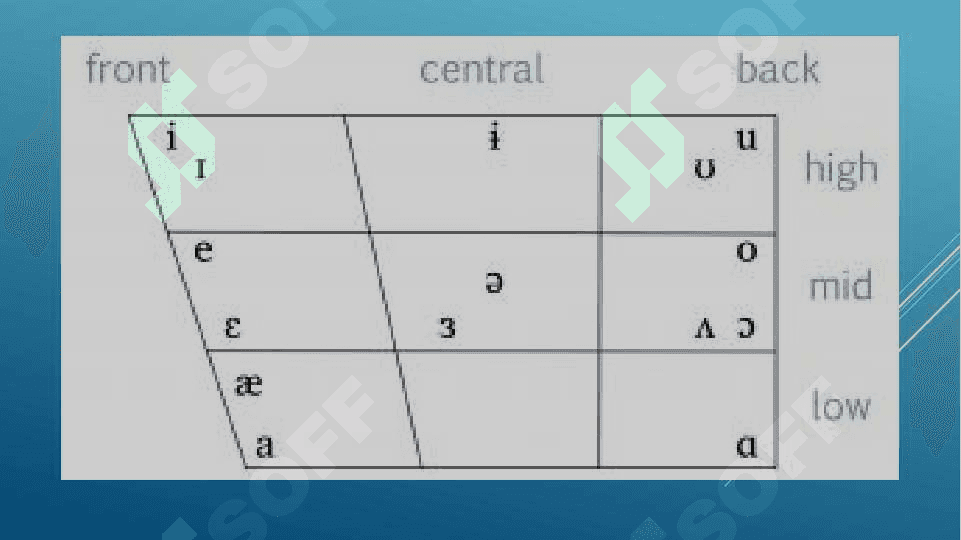 THE PRINCIPLES OF THE CLASSIFICATION OF CONSONANT PHONEMES 3