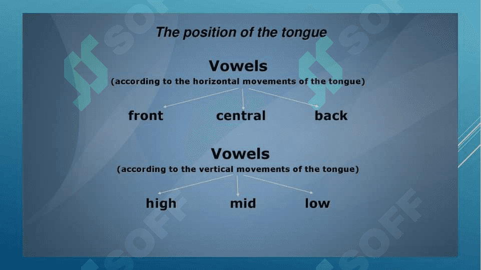 THE PRINCIPLES OF THE CLASSIFICATION OF CONSONANT PHONEMES 4