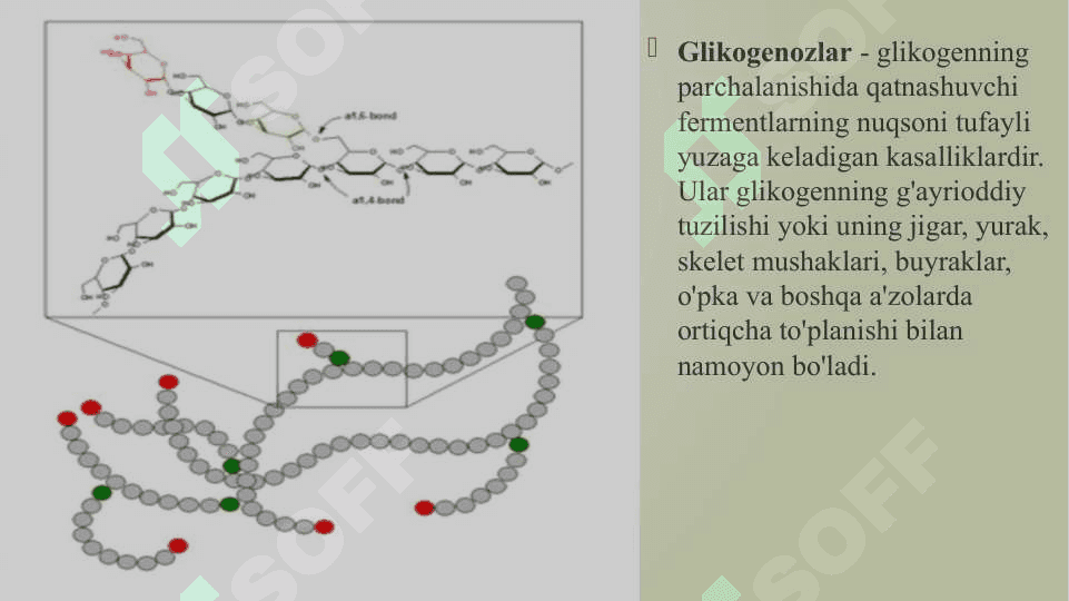 GLIKOGEN KASALLIKLARI Glikogenoz. Aglikogenoz. 4