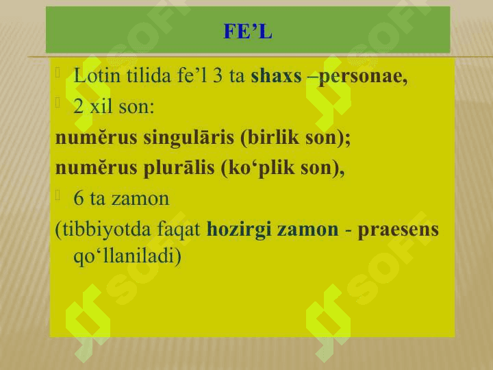 lotin tili.      FE’L . UMUMIY MA’LUMOTLAR. BUYRUQ MAYLI. 3