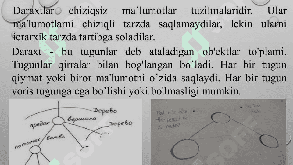 Daraxtsimon maʻlumotlar tuzilmalari 3