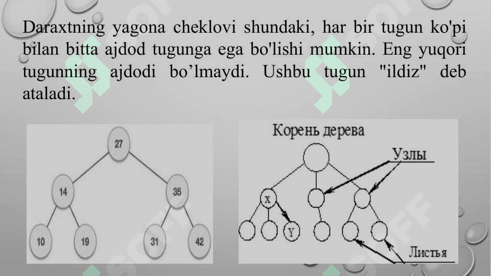Daraxtsimon maʻlumotlar tuzilmalari 4