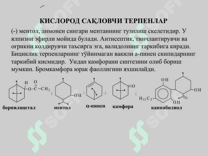 МАВЗУ :  ЛИПИДЛАР. СOВУНЛАНМАЙДИГАН  ЛИПИДЛАР. ТЕРПЕНЛАР ВА СТЕРОИДЛАР. 6