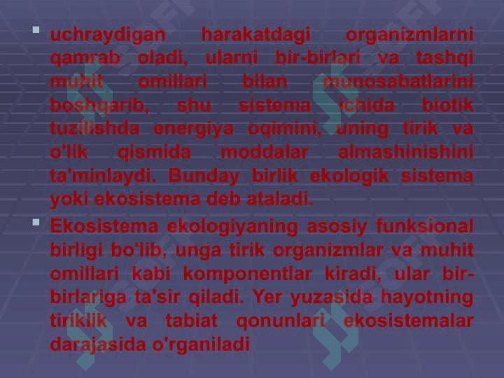 Ekotizimlar 3