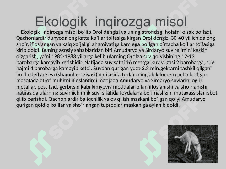Ekologiya huquqi 5