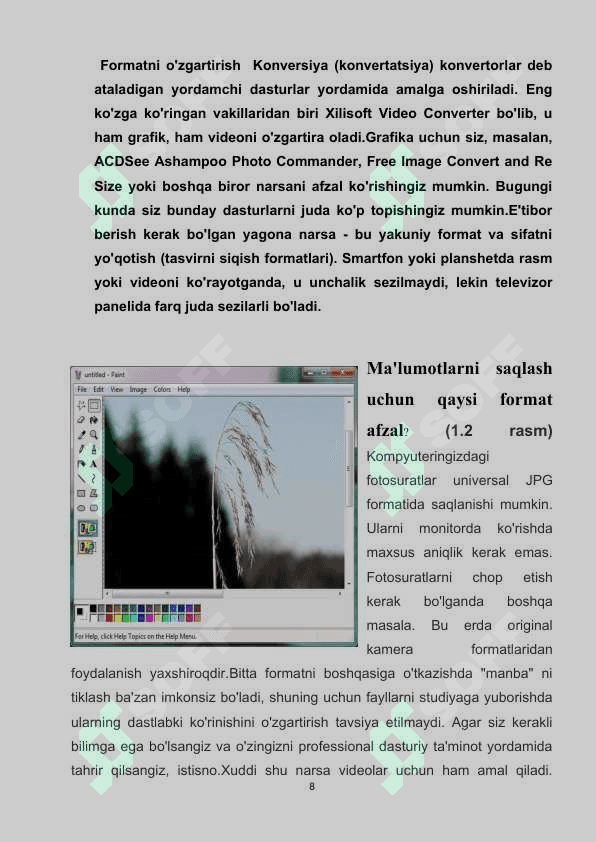 KOMPYUTER GRAFIKASI SOHASIDAGI FAYL FORMATLARI VA BIR-BIRIDAN FARQLI JIHATLARI 8