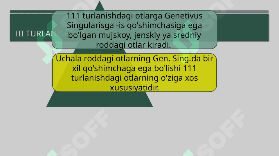 III TURLANISHDAGI ARALASH TIPIDAGI OTLAR (lotin tili) 3