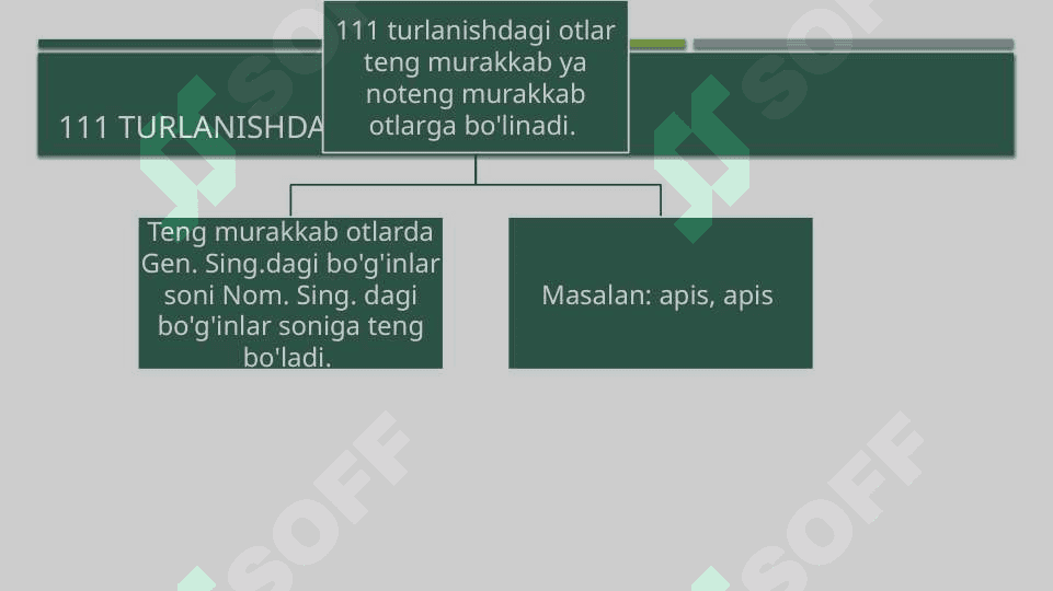 III TURLANISHDAGI ARALASH TIPIDAGI OTLAR (lotin tili) 4