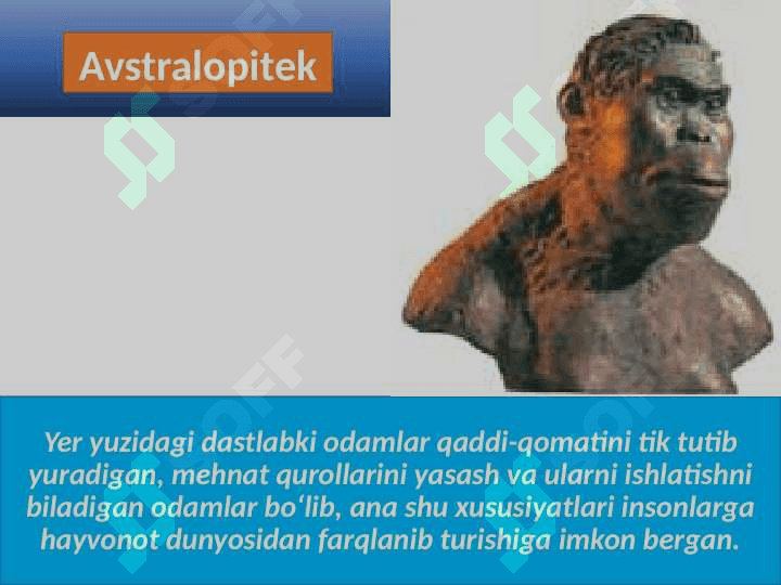 Eng qadimgi odamlarning rivojlanish bosqichlari 3
