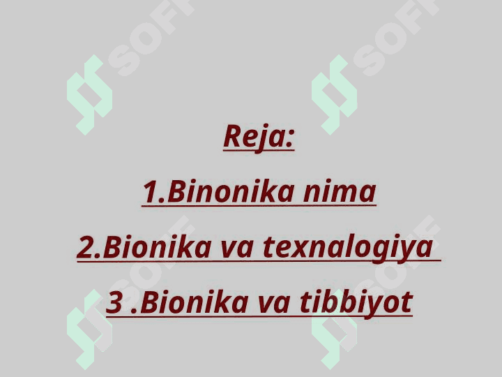 Mavzu :Bionika va uning inson hayotidagi oʻrni 2