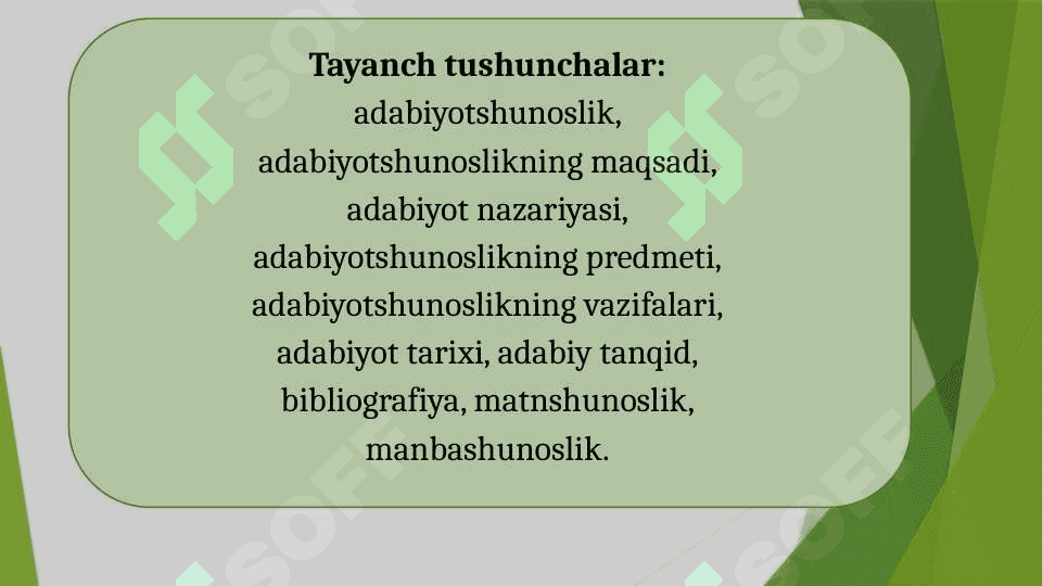 ADABIYOTSHUNOSLIK FANINING VAZIFALARI VA STRUKTURASI 2