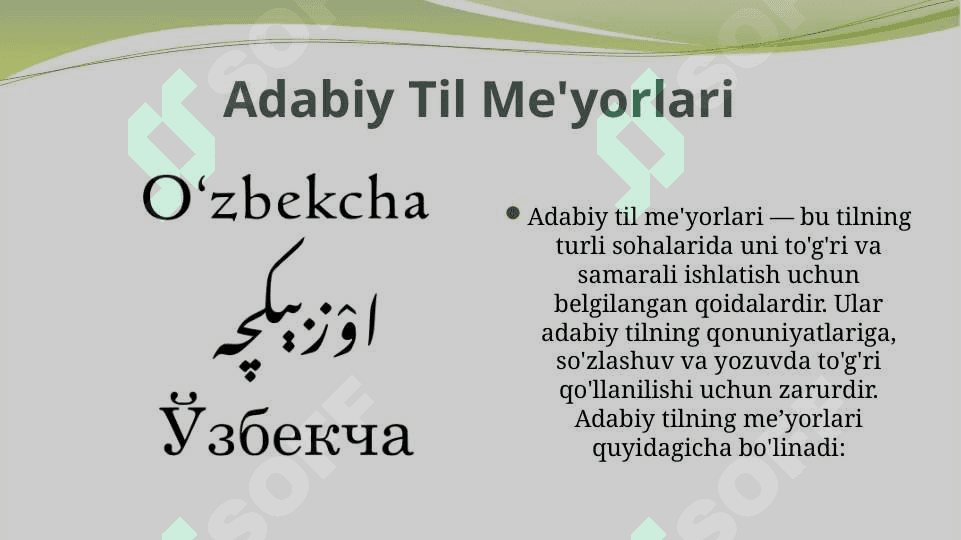 adabiy til me'yorlari 3