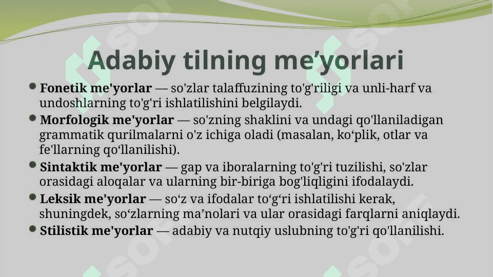 adabiy til me'yorlari 4