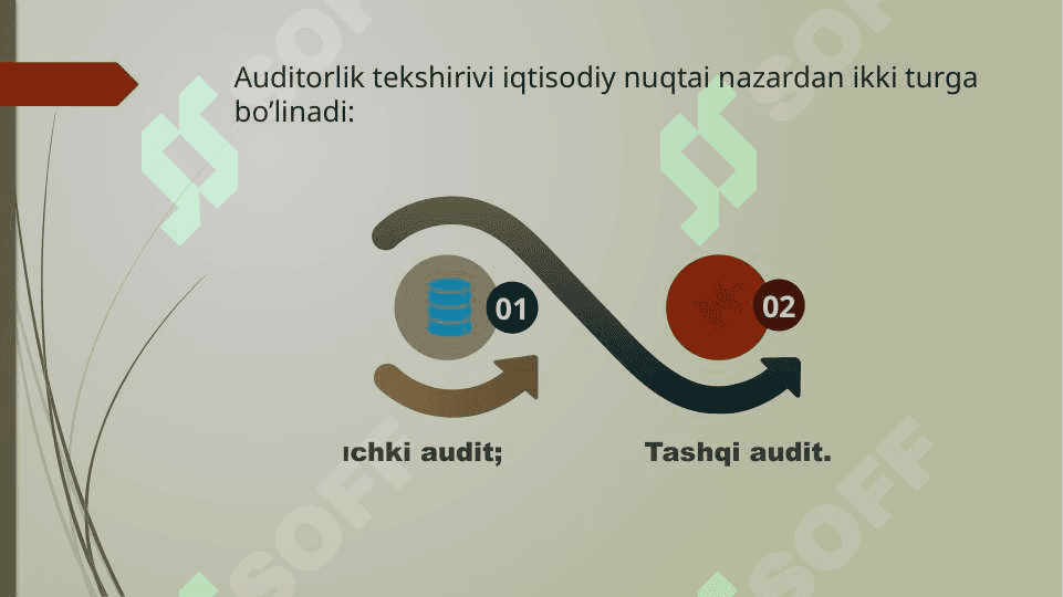 Audit turlari va funksional tasnifi 7