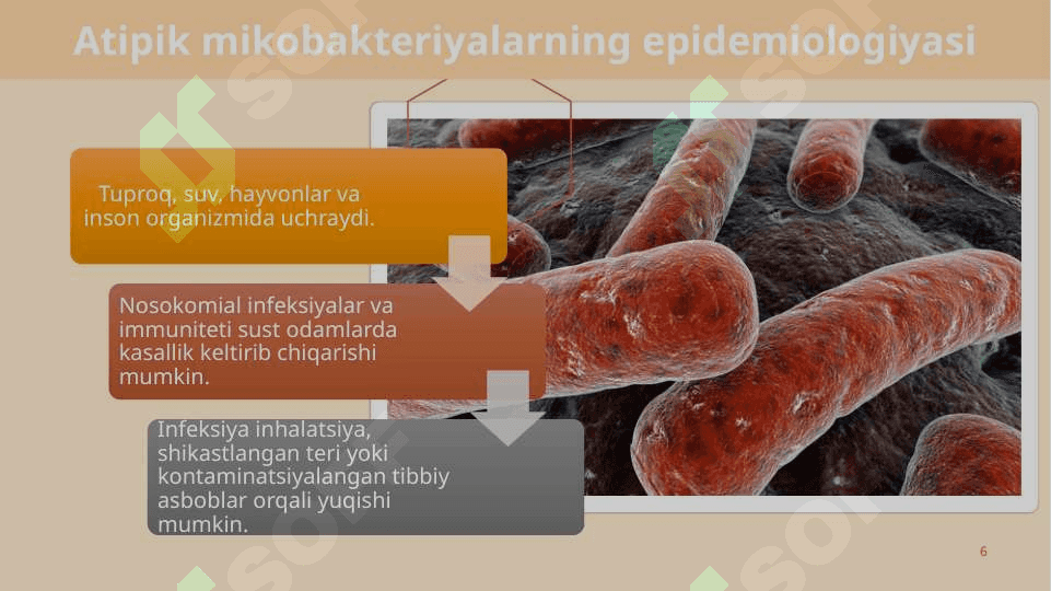Atipik mikobakteriyalar va ularning amaliyotdagi ahamiyati 6