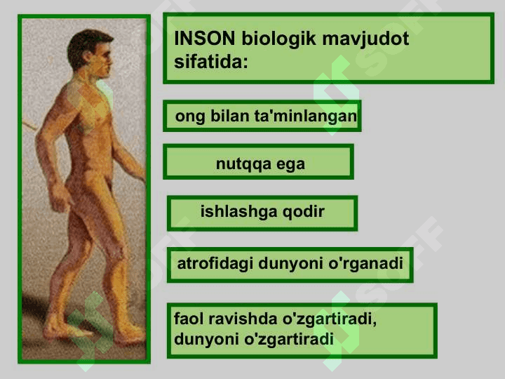 Psixolog shaxsiyati 7