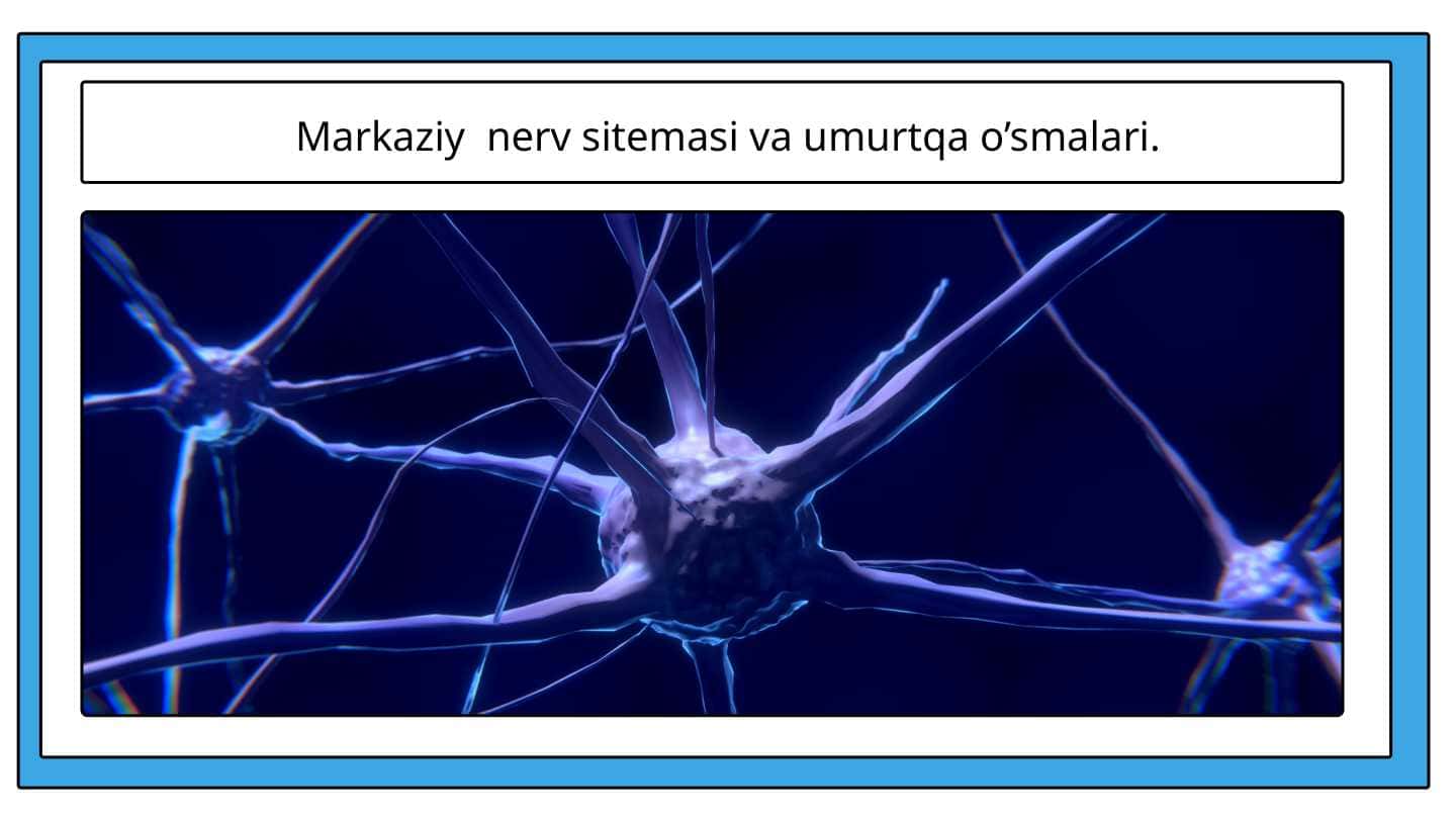 Markaziy nerv sitemasi va umurtqa o’smalari