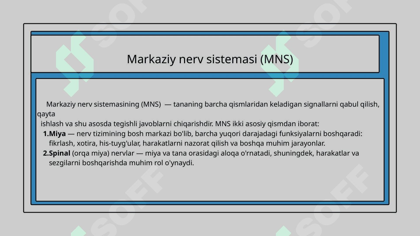 Markaziy nerv sitemasi va umurtqa o’smalari 3