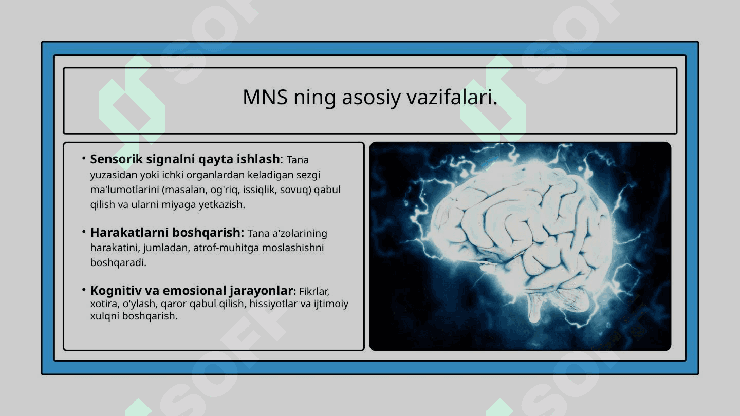 Markaziy nerv sitemasi va umurtqa o’smalari 4