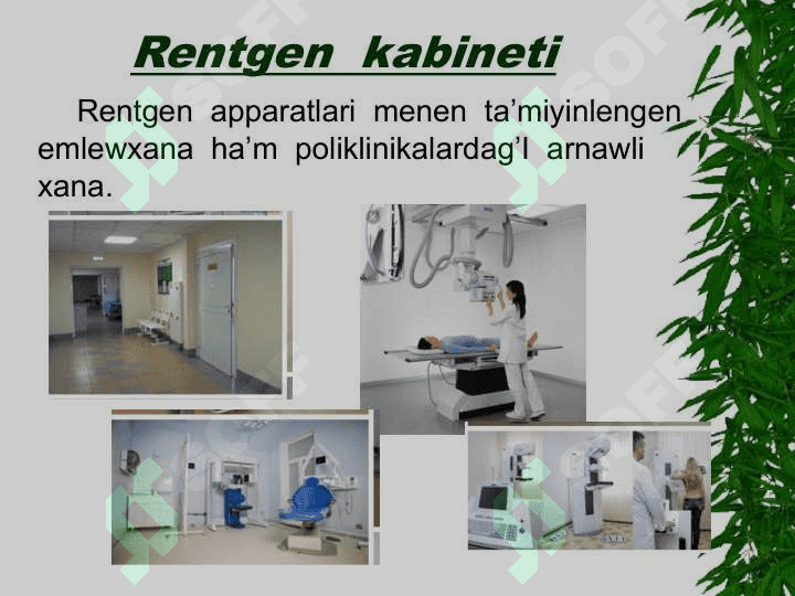 Rentgenologik tekseriw usili 6
