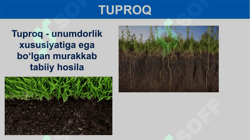 Tuproqlar haqida tushuncha.  O‘rta Osiyo tuproqlari 3
