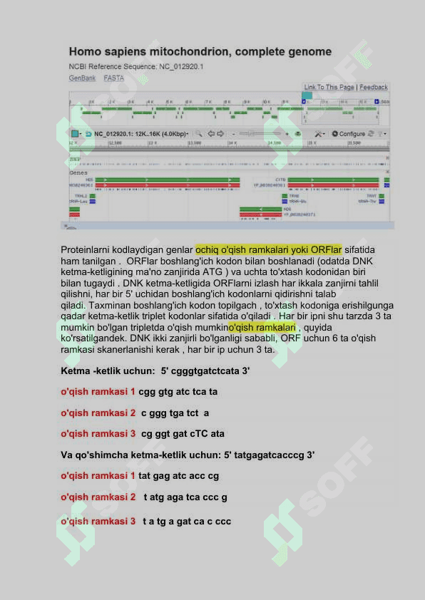 ORF finder 4