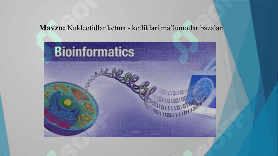 Nukleotidlar ketma - ketliklari ma’lumotlar bazalari. 2