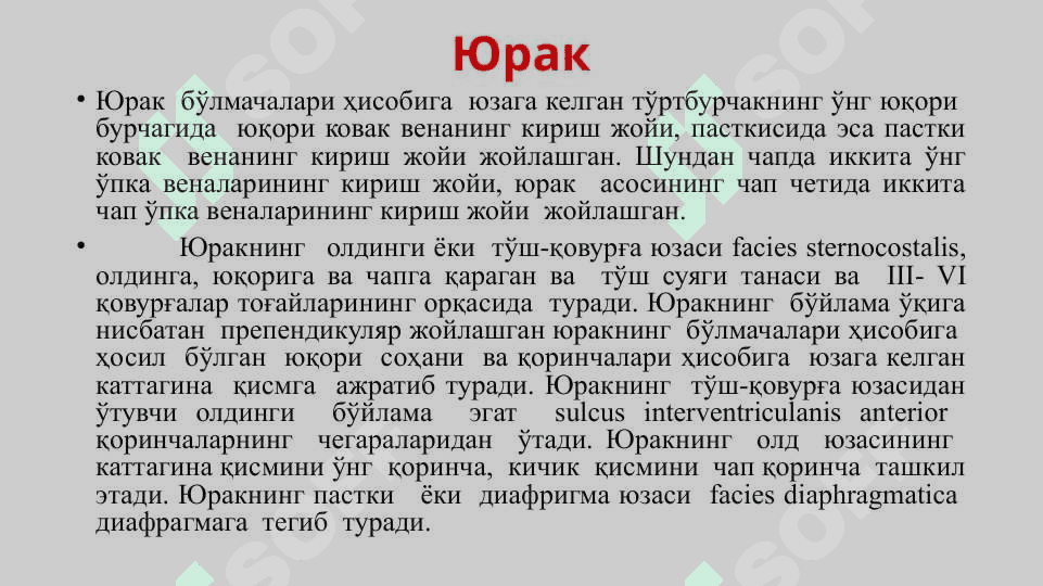 Юрак – қон томир системаси. Юрак тузилиши, юракнинг ўтказув системаси.Юракнинг қон билан таъминланиши. Қон айланиш доиралари 3