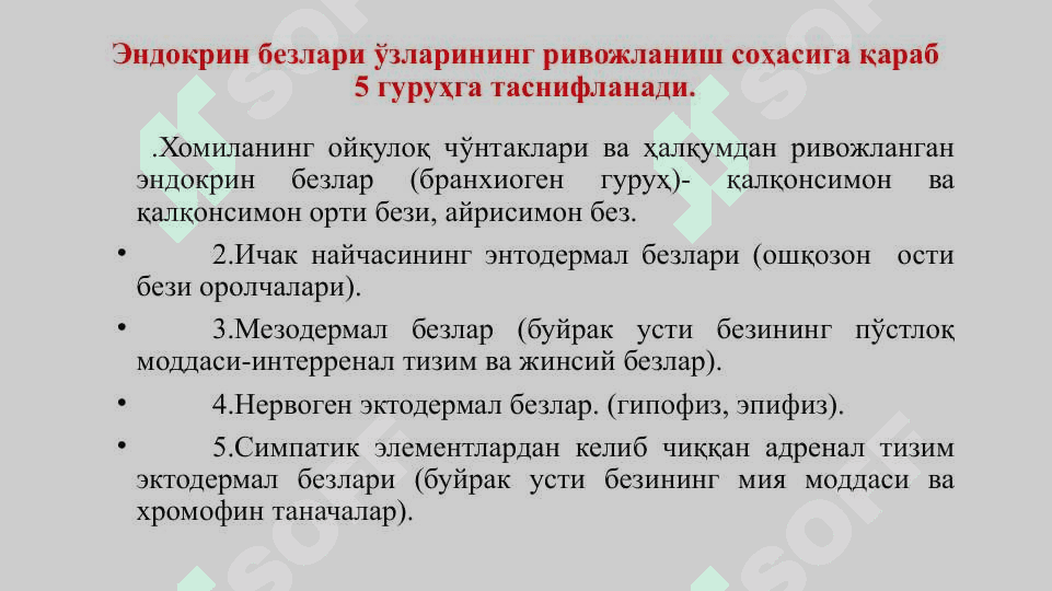 Эндокрин безлар. Гипофиз. Эпифиз. Жинсий безларнинг эндокрин қисмлари. Қалқонсимон, қалқон орқа ва айрисимон безлар. Буйрак усти ва меъда ости безлари 4