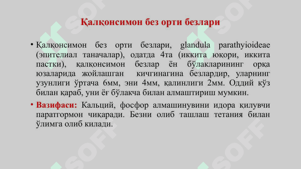Эндокрин безлар. Гипофиз. Эпифиз. Жинсий безларнинг эндокрин қисмлари. Қалқонсимон, қалқон орқа ва айрисимон безлар. Буйрак усти ва меъда ости безлари 8