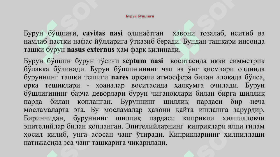 Нафас олиш тизими. Бурун бўшлигининг тузилиши. Хиқилдоқ. 4