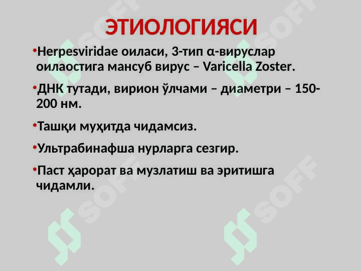 СУВЧЕЧАК 2