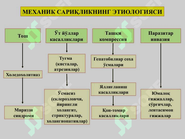 Механик сариқлик, постхолецистэктомик синдром 7