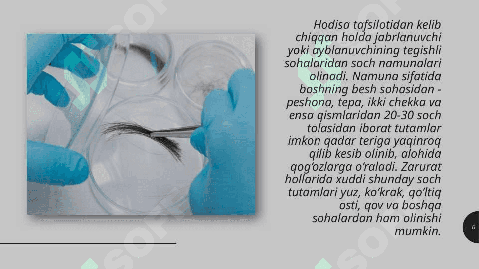 Sochlarning sud tibbiy ekspertizasi. 6