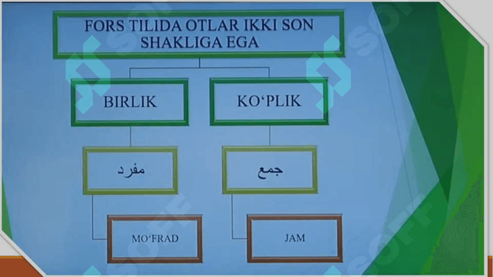 Otlarda son kategoriyasi arabiy kopliklar egalik affikslari Miqdor va tartib sonlar 3