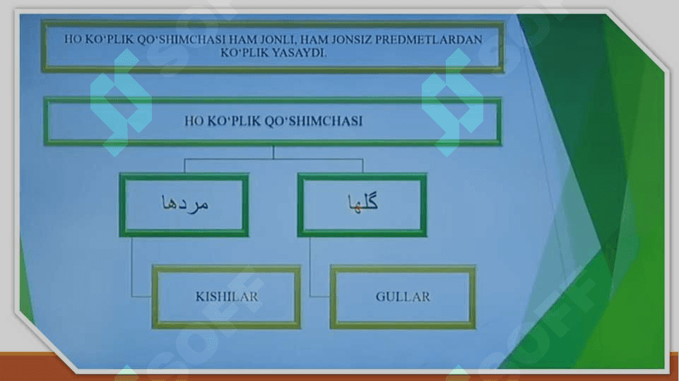 Otlarda son kategoriyasi arabiy kopliklar egalik affikslari Miqdor va tartib sonlar 4