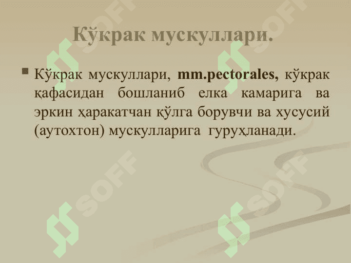 Кўкрак мушаклари. Диафрагма. Уларнинг ёшга қараб ўзгариши. Қорин мушаклари. Қорин тўғри мушаги қини. Оқ чизиқни ҳосилбўлиши. Чов канали. Уларнинг ёшга қараб ўзгариши. 4