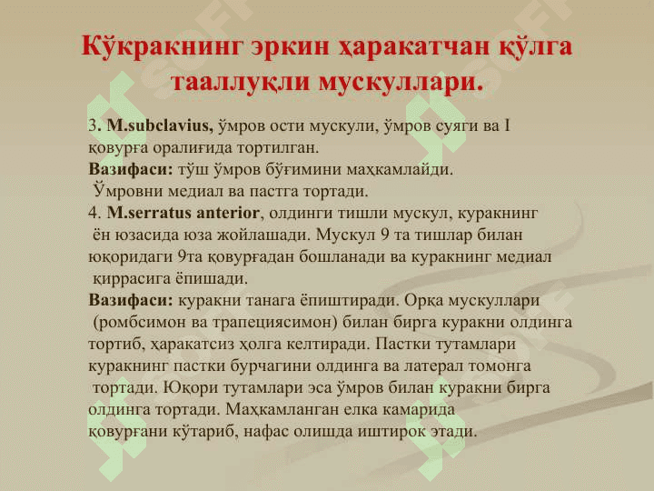 Кўкрак мушаклари. Диафрагма. Уларнинг ёшга қараб ўзгариши. Қорин мушаклари. Қорин тўғри мушаги қини. Оқ чизиқни ҳосилбўлиши. Чов канали. Уларнинг ёшга қараб ўзгариши. 8