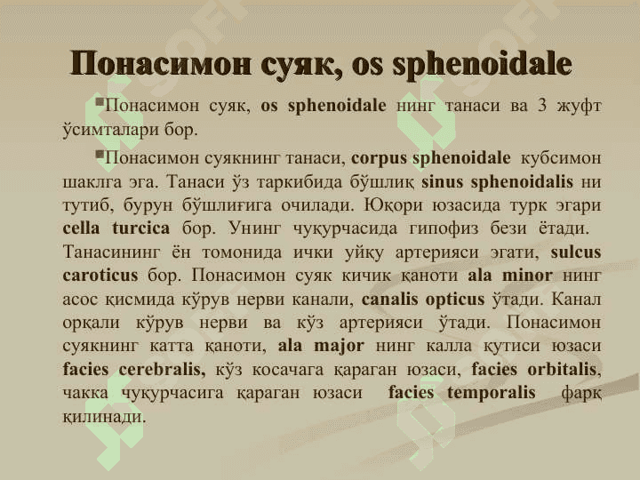 Понасимон ва чакка суяклари  тузилиши,  ёшга оид хусусиятлари. Чакка суягининг каналлари. 3