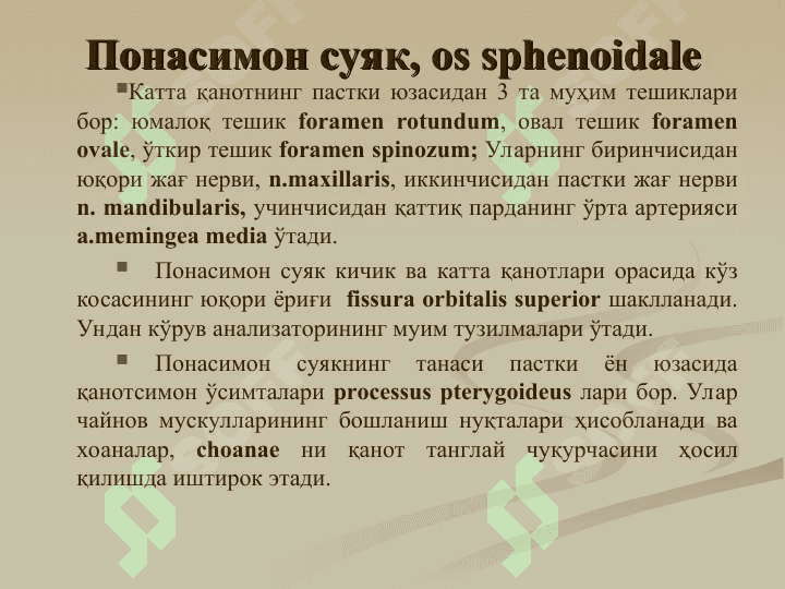 Понасимон ва чакка суяклари  тузилиши,  ёшга оид хусусиятлари. Чакка суягининг каналлари. 4