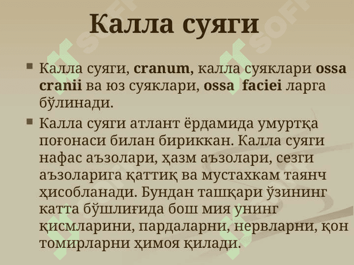 Калла суяги. Калла суягининг мия қисми суяклари  энса, тепа, пешона ва  ғалвир суяклари, уларнинг ёшга доир хусусиятлари. 2