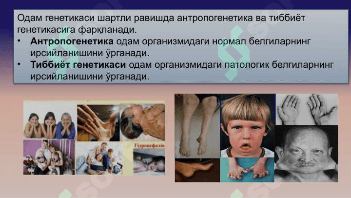 Одам генетикаси ва уни ўрганиш методлари 6