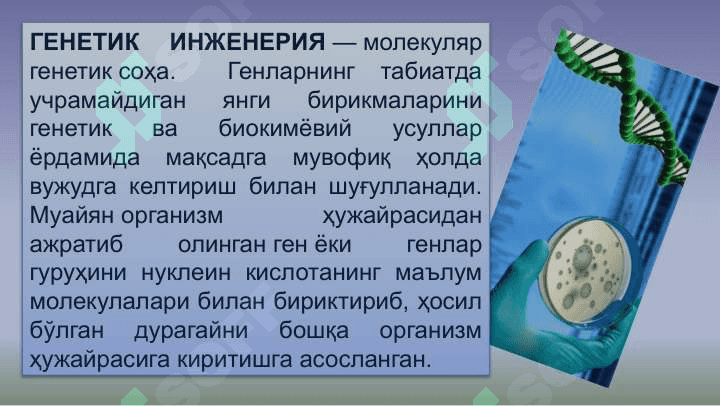 Генетик инженерия ва биотехнология 4