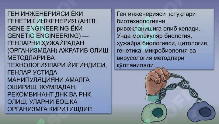Генетик инженерия ва биотехнология 5