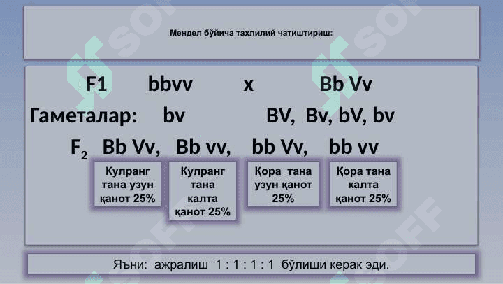 Ирсиятнинг хромосома назарияси 7