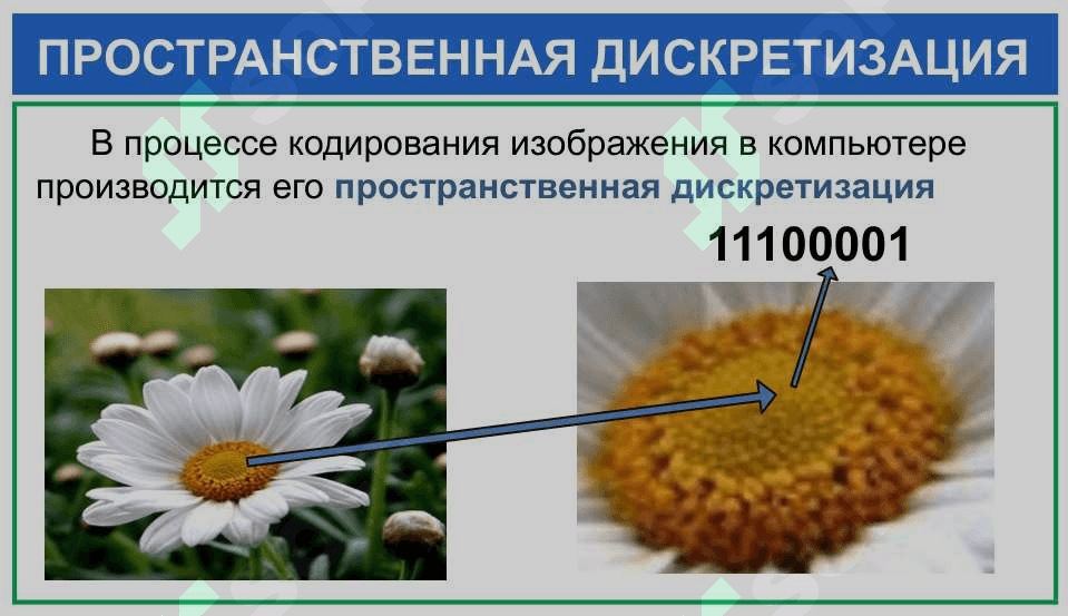 ПРАКТИЧЕСКАЯ РАБОТА. КОМПЬЮТЕРНАЯ ГРАФИКА. 7