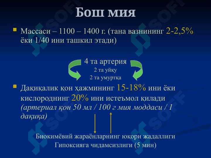 БОШНИНГ КЛИНИК АНАТОМИЯСИ 6